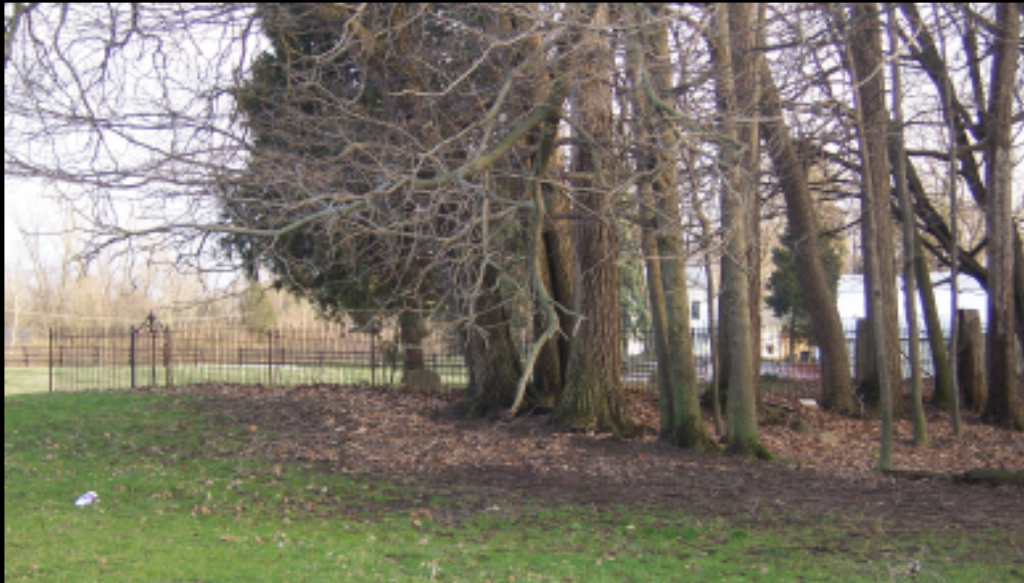 George Zimmerman Cemetery
